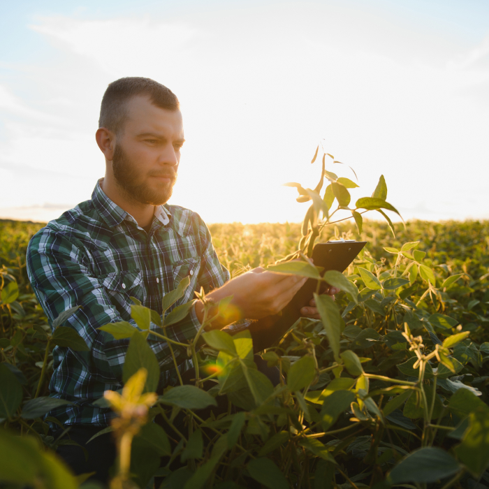 Perícias Judiciais e Avaliações de Imóveis Rurais_ A Expertise da Cerrado Consultoria Agronômica